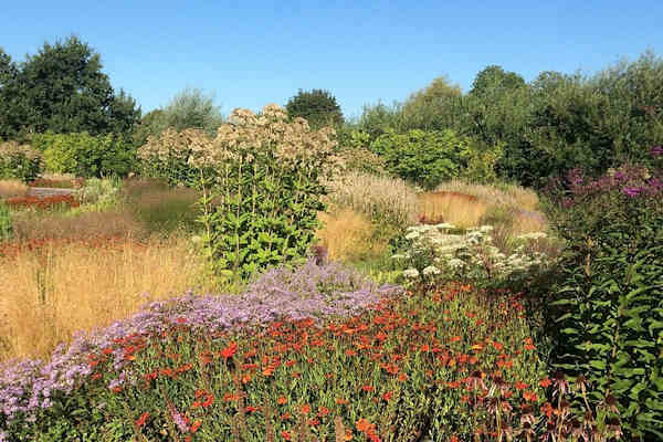 activiteiten-maximapark-leidsche-rijn